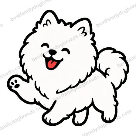 Pomeranian sticker 14