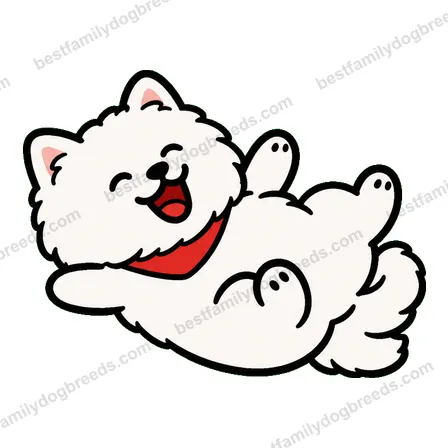 Pomeranian dog meme sticker preview