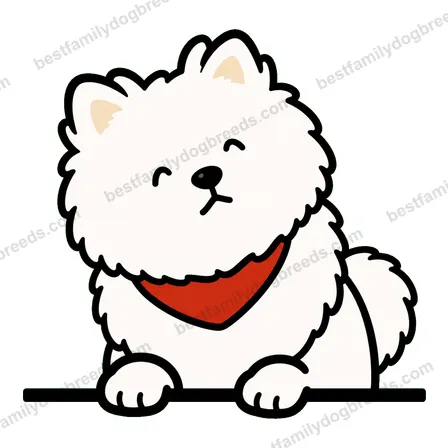 Pomeranian sticker 17