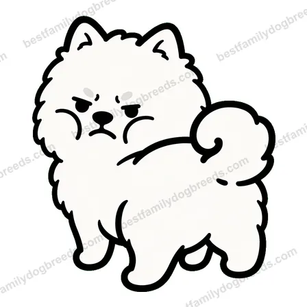 Pomeranian dog meme sticker preview