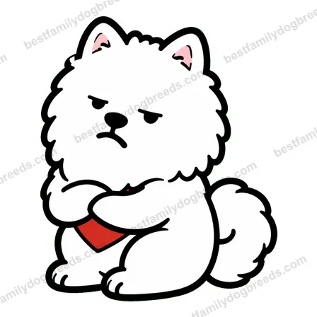 Pomeranian sticker 19