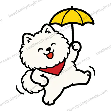 Pomeranian dog meme sticker preview