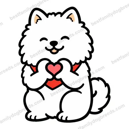 Pomeranian sticker 23