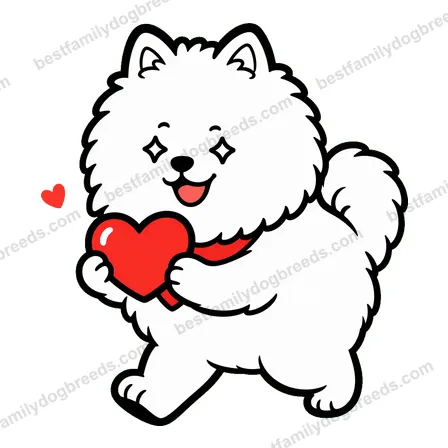 Pomeranian sticker 28