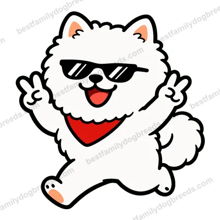 Pomeranian cool dog meme sticker
