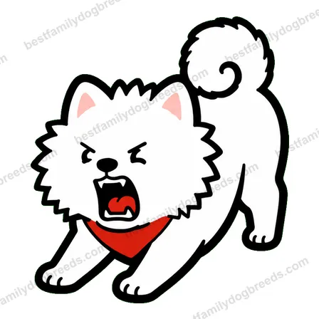 Pomeranian sticker 30