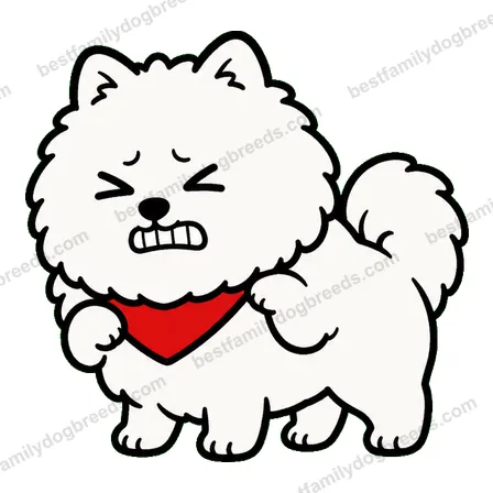 Pomeranian dog meme sticker preview