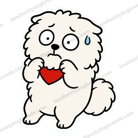 Pomeranian dog meme sticker preview