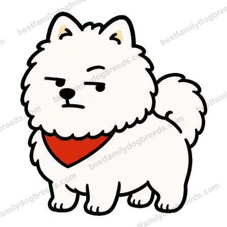 Pomeranian sticker 33
