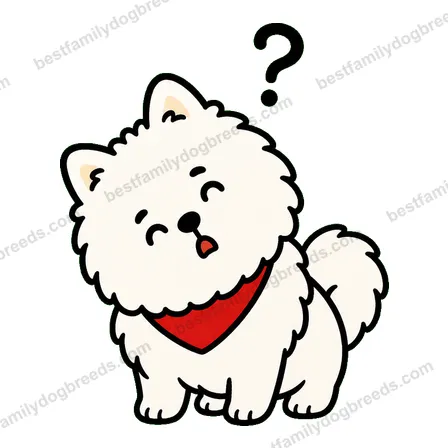 Pomeranian dog meme sticker preview