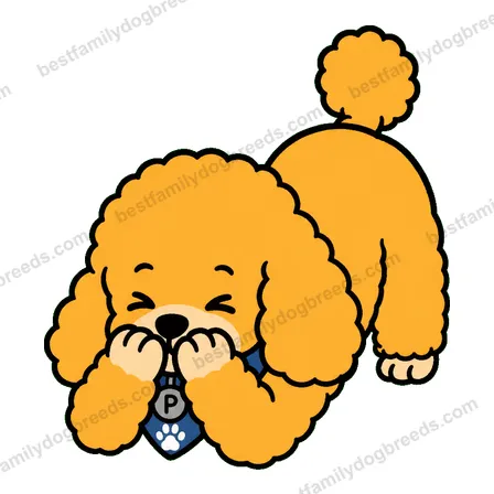 Poodle sticker 4