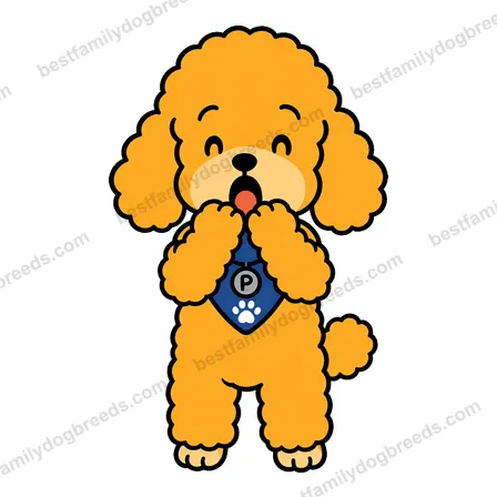 Poodle sticker 6