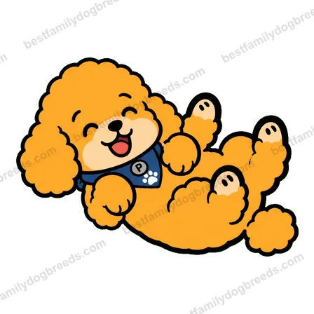 Poodle laughing dog meme sticker preview