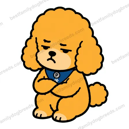 Poodle sticker 19