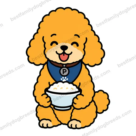 Poodle sticker 21