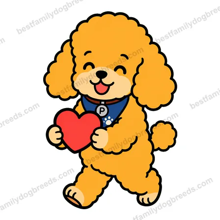 Poodle sticker 28