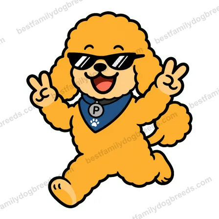 Poodle sticker 29