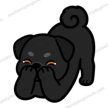 Pug cute dog meme sticker preview