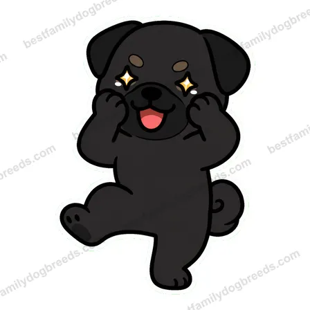 Pug dog meme sticker preview