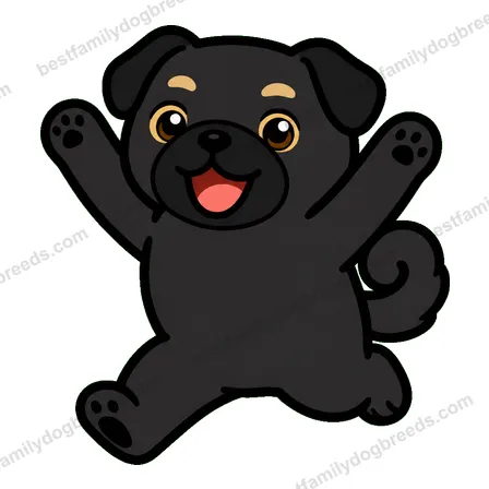 Pug dog meme sticker preview