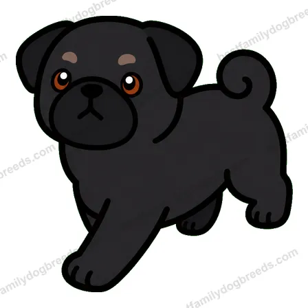 Pug dog meme sticker preview