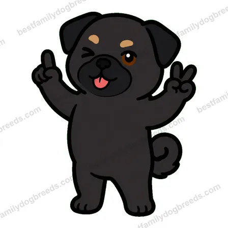 Pug sticker 12