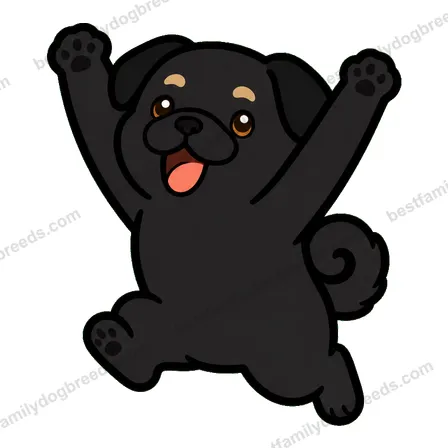 Pug sticker 13