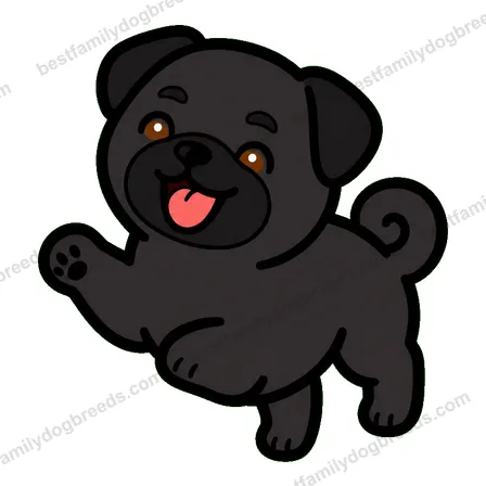 Pug sticker 14