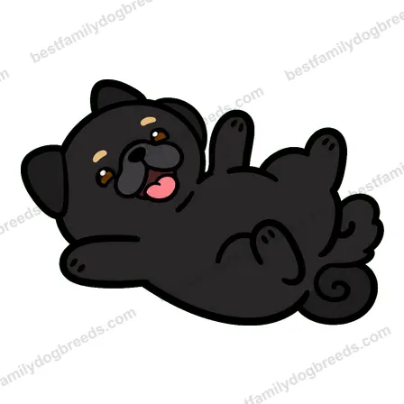 Pug dog meme sticker preview