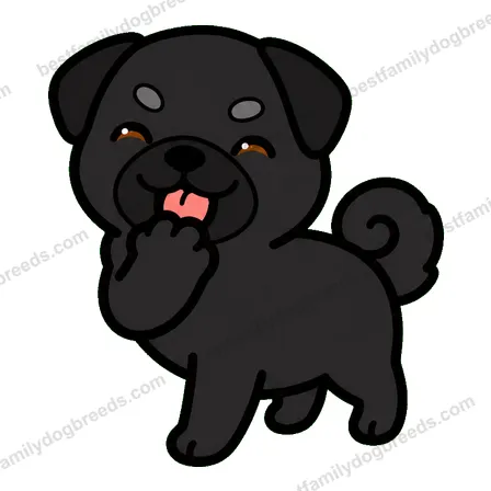 Pug sticker 16
