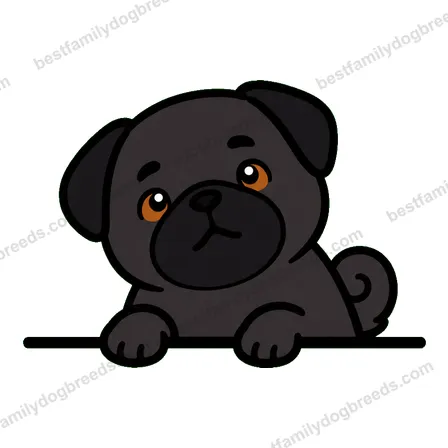 Pug sticker 17