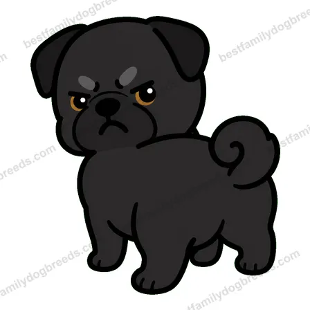 Pug dog meme sticker preview