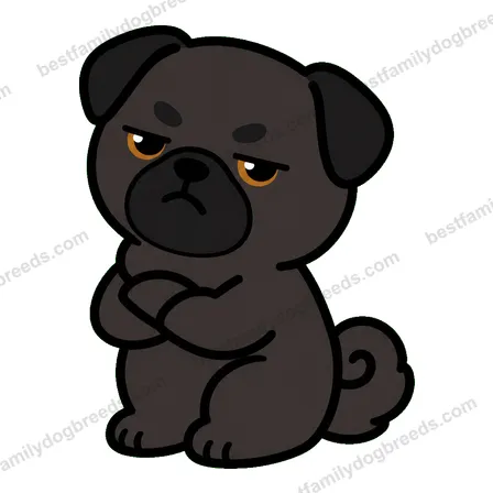 Pug sticker 19