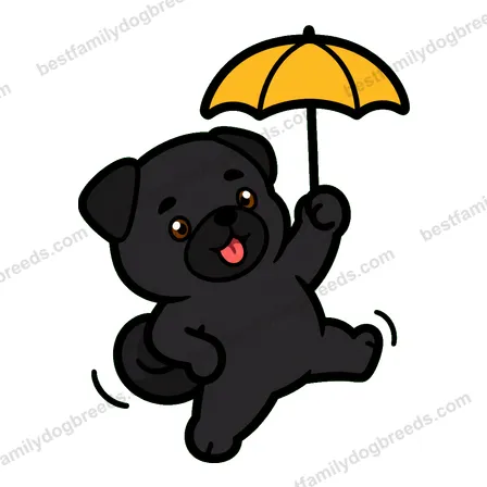 Pug dog meme sticker preview