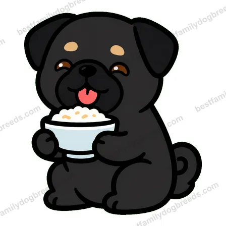 Pug sticker 21