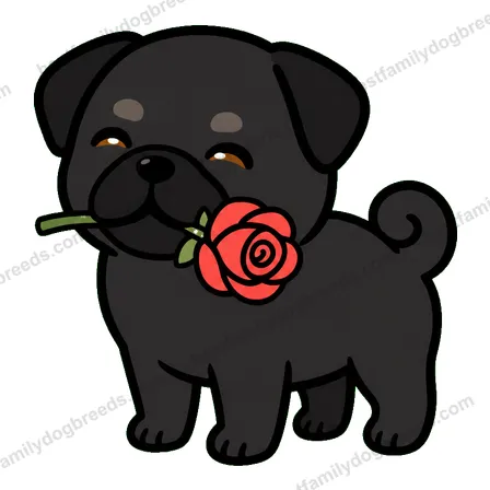 Pug sticker 22