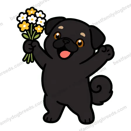 Pug sticker 24