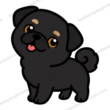 Pug sticker 25