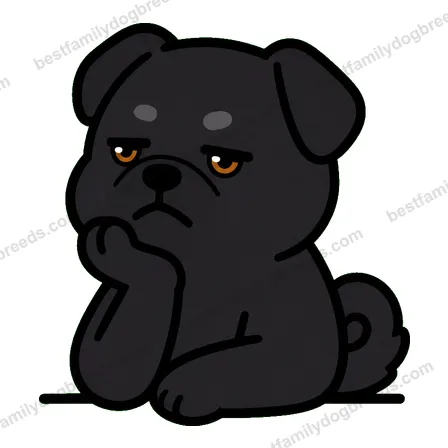 Pug sticker 26