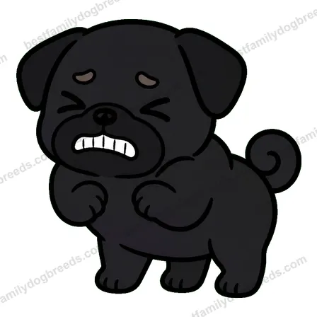 Pug dog meme sticker preview