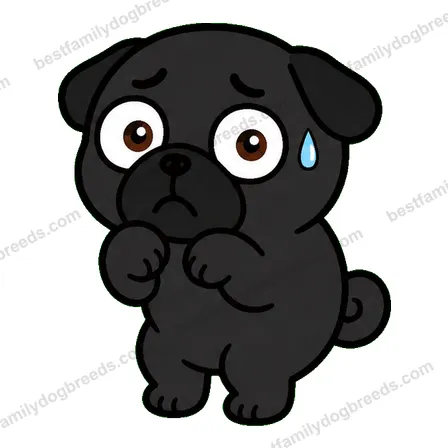 Pug dog meme sticker preview