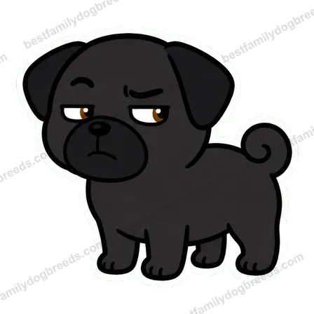 Pug sticker 33