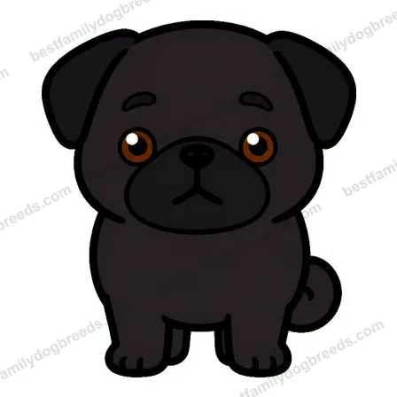 Pug sticker 34
