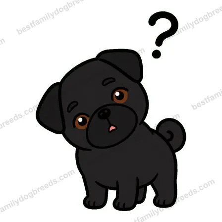 Pug dog meme sticker preview