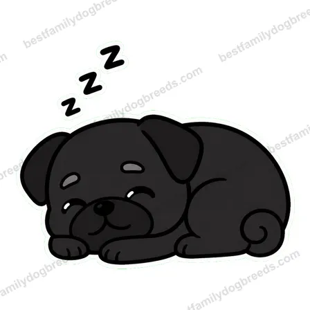 Pug dog meme sticker preview