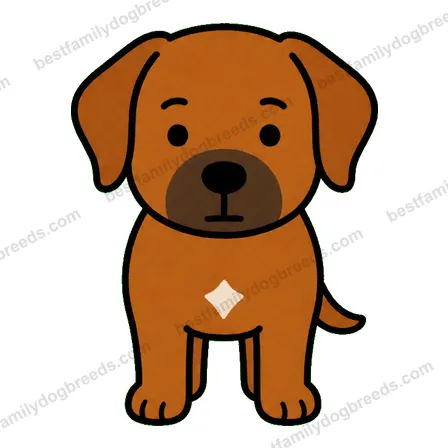 Rhodesian Ridgeback sticker 34