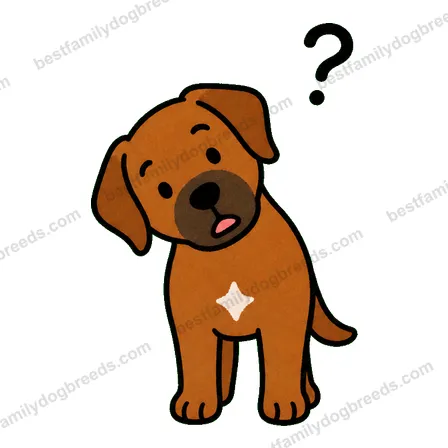 Rhodesian Ridgeback dog meme sticker preview