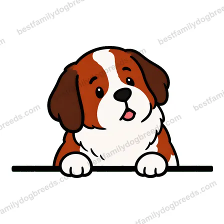 Saint Bernard sticker 17