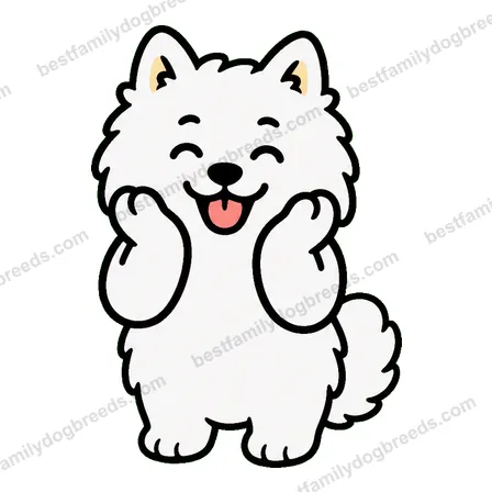 Samoyed dog meme sticker preview