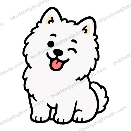 Samoyed sticker 3